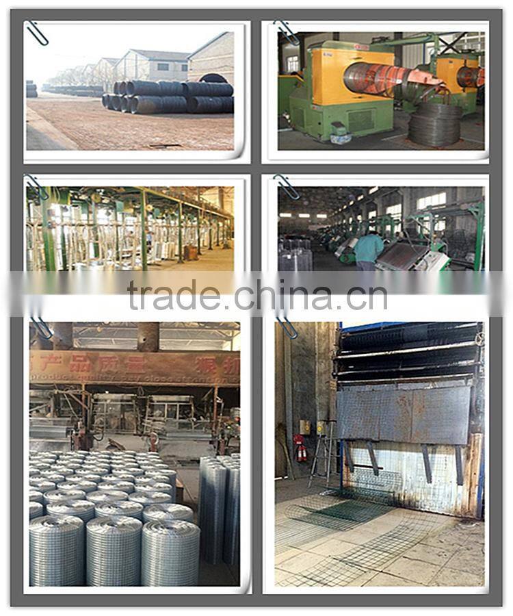 alibaba hot sale galvanized welded wire mesh / hardware cloth