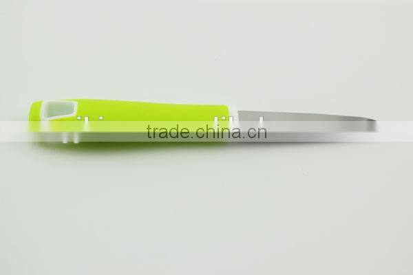 Lightweight stainless steel paring knife with plastic handle