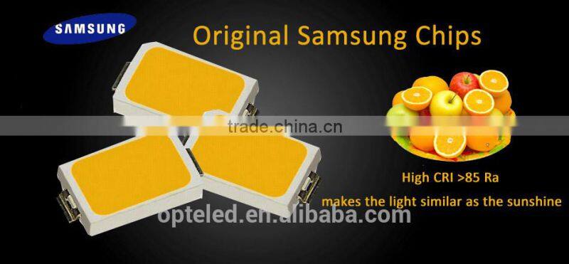 8 inch 30W SMD LED Downlight for Gallery