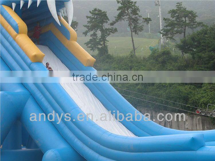 Water park design build in steel framed pool