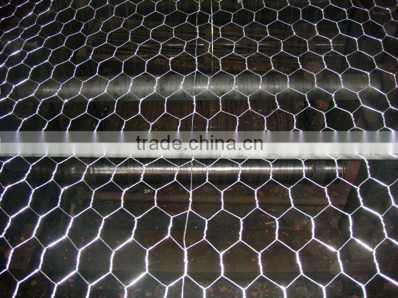 hexagonal wire mesh