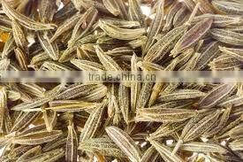 Cumin Sortex and Machine Clean