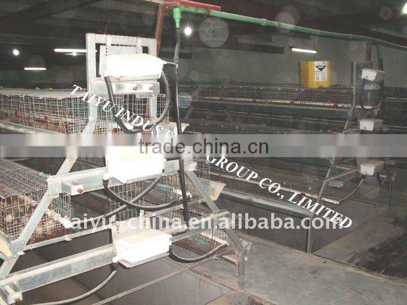 Taiyu-1 quail cages ( Professional Manufacturers )