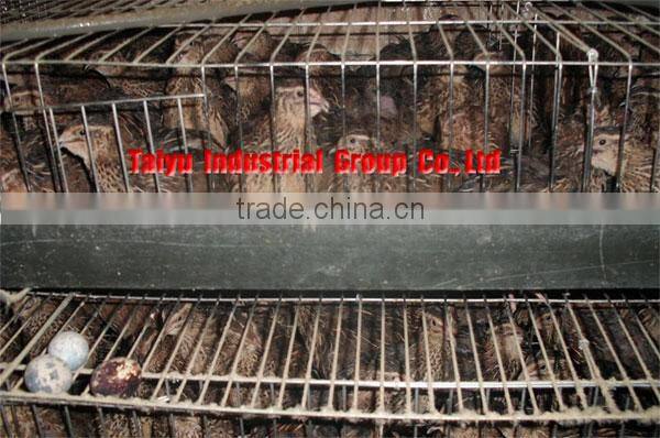 Quail Cage Equipment with all the accessary