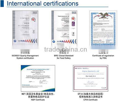 aquarium oxygen pump gassing stone