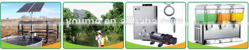 FLO-2203 70PSI electric water pump for agriculture use