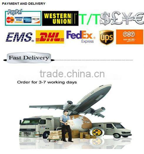 Foam Lance Gauze Filter