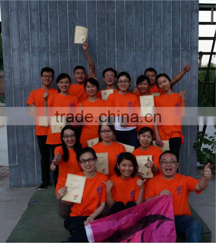 LFM Manual Chain Hoist