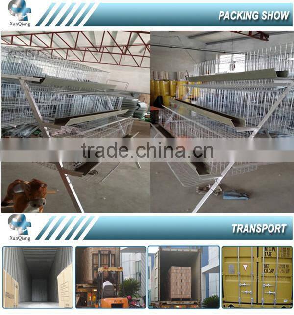 3 and 4 tiers A type layer chicken cages,automatic poultry cages