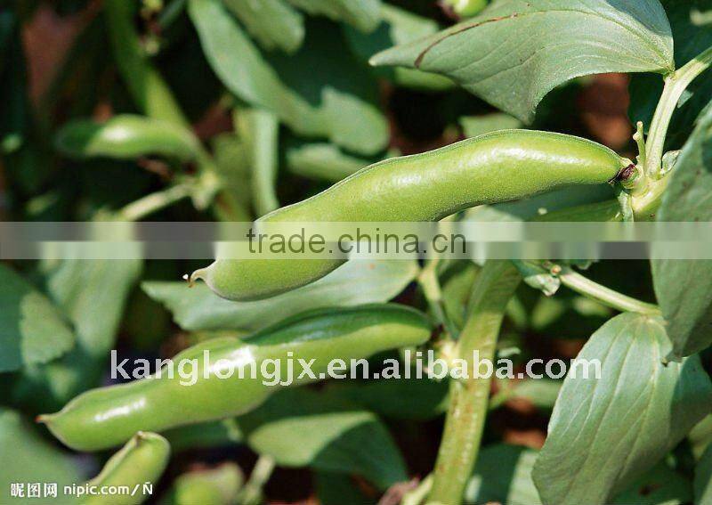 Horsebean shelling machine