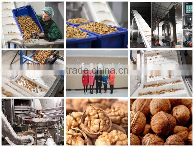 walnuts kernal dryer