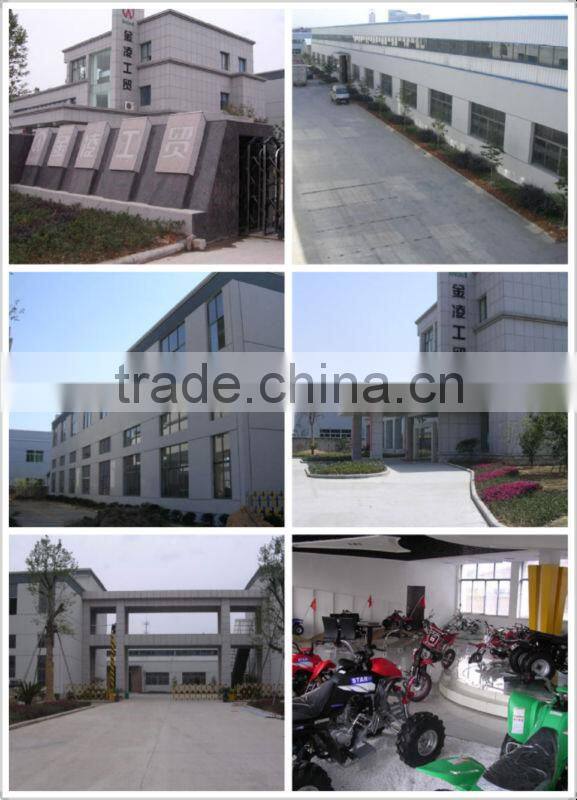 110cc mini buggy for kids