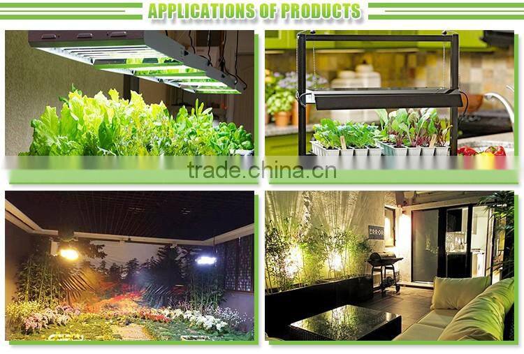 Hydroponics1000W Double Ended Metal Halide Lamp