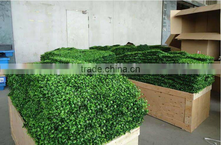 hot sale in China long life plastic boxwood mat with plastic net