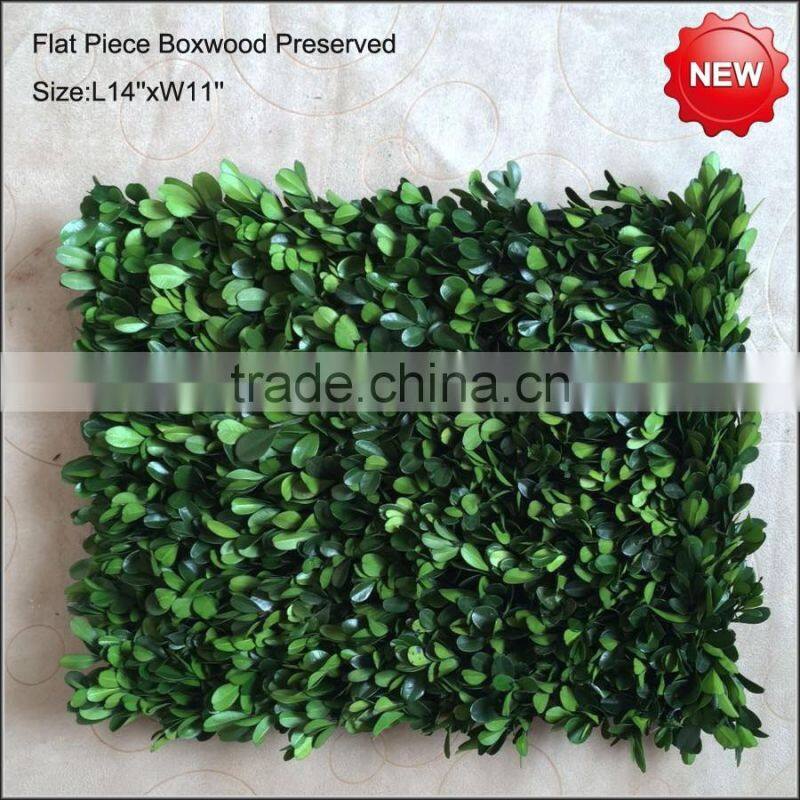 Preserved boxwood mat flat piece