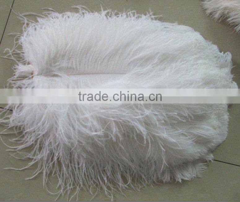 Carnival decorative large white ostrich feathers
