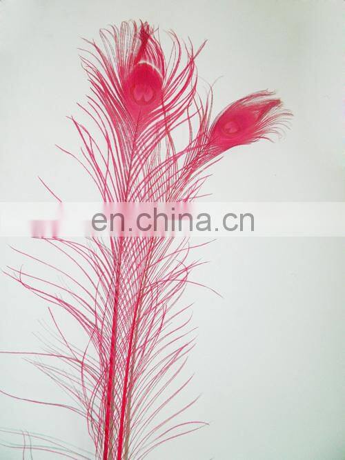 top quality pink 80cm-90cm peacock feather