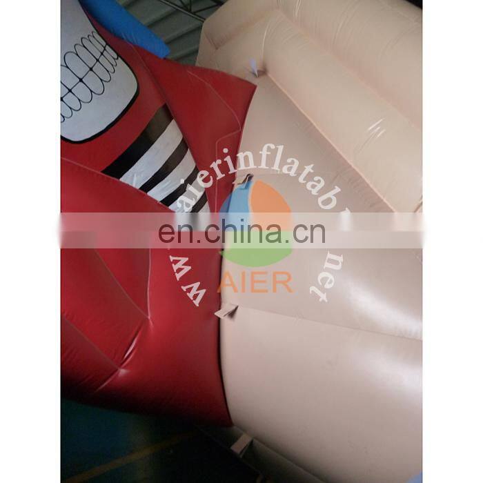 Funny inflatable pirate water slide for kids&adult,giant inflatable water slide,