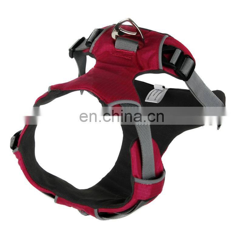 dog training bite suit