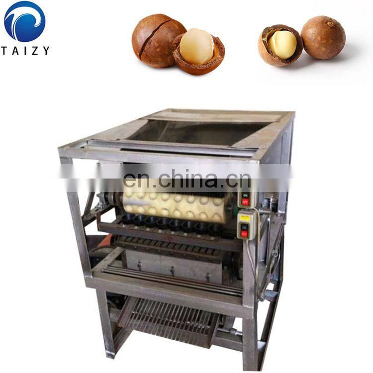 macadamia nuts processing machine macadamia nut cracker machine