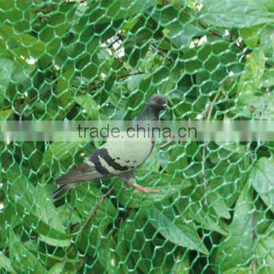 anti insect netting / anti bird mesh
