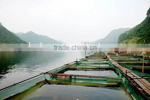 Product for rich fish pond water