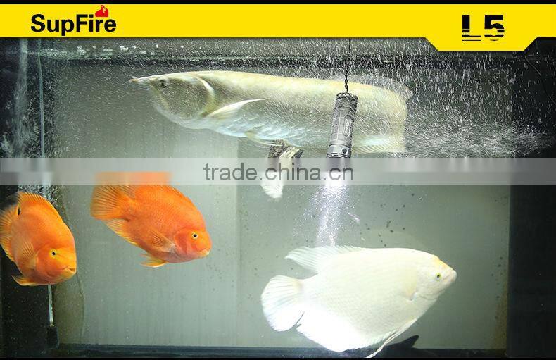 CREE XML L2 Pocket Flashlight