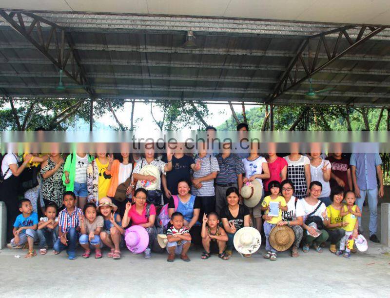 White Cotton Fabric High Quality Poly Pillows for Five Star Hotel