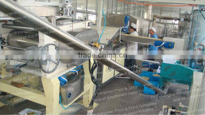 Fired Potato Chip Machine