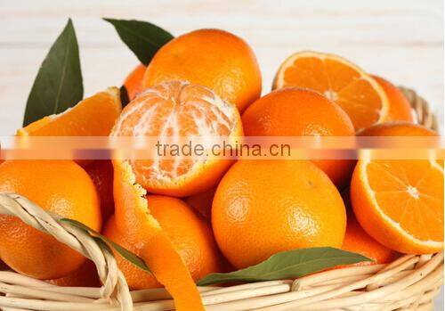 Stainless steel low price orange juice processing machine,automatic orange juicer