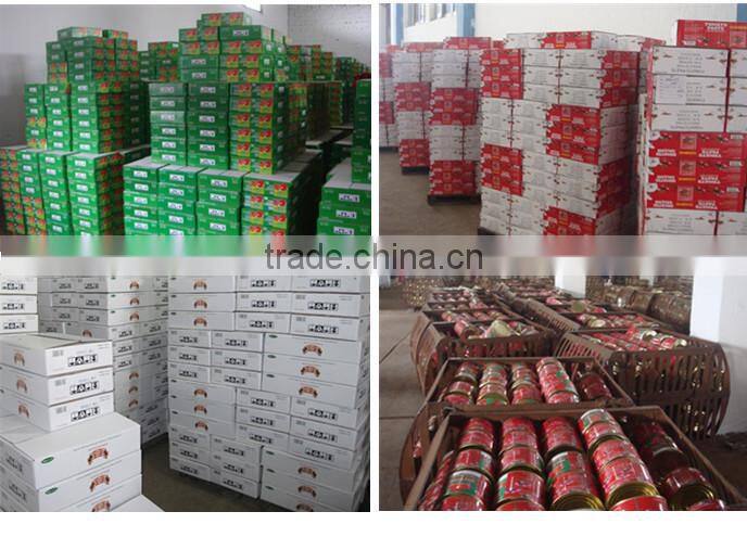 Canned tomato paste brix28-30% ,hot sell with high quality