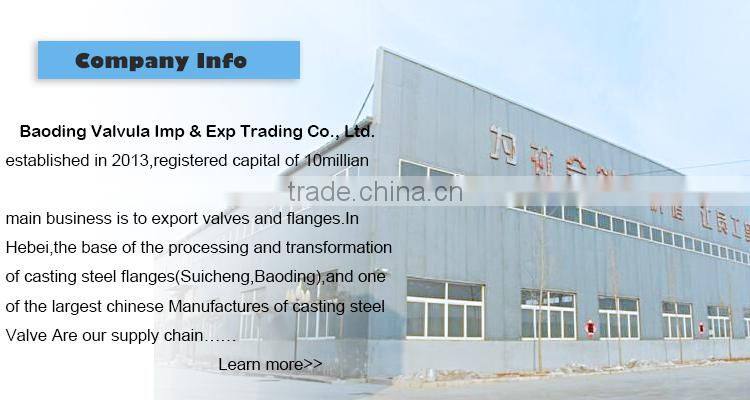 DIN Welding Neck carbon Steel forged Flange supplier