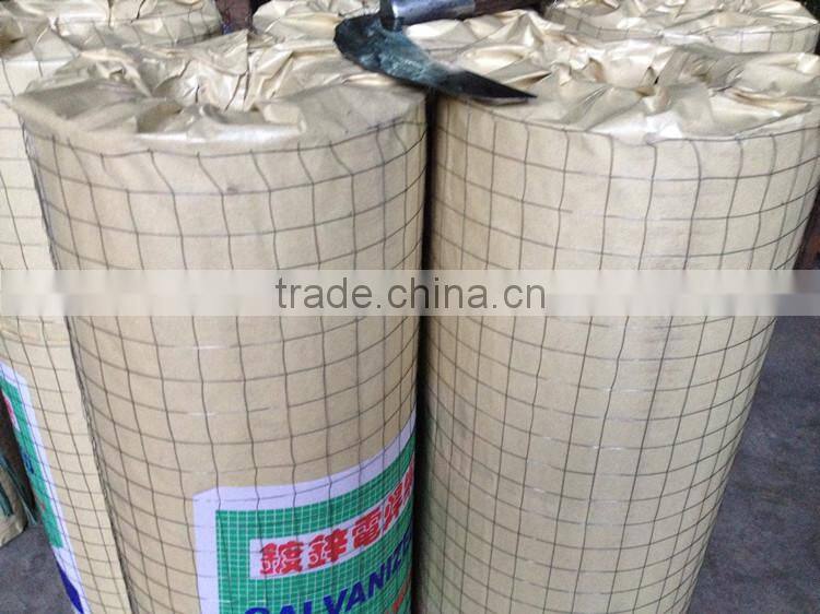 1/2 inch galvanized welded wire mesh, roll price, for sale