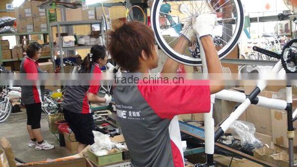 Taiwan Top - FOLLOWER - 20 inch single speed kids trailer