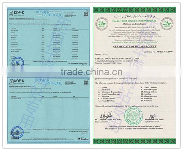 China factory professional produce bromelain enzyme