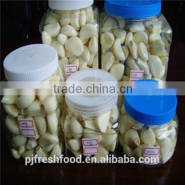 Fresh peeled garlic 5lbx6bg/carton