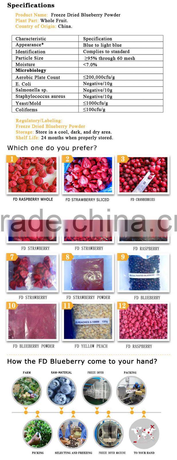 powder style bulk Dried Blueberry fruit flavor