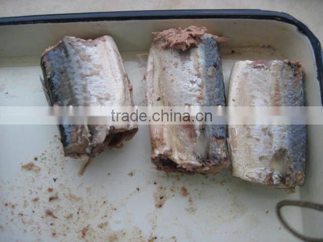 Canned mackerel Fish