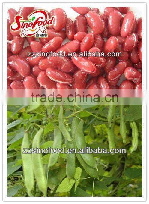 400g*24 Canned Red Kidney Beans in brine