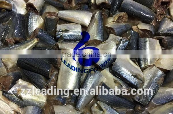 High Quality China Processed Instant Canned Mackerel Fish Salt and Water Added Fresh Raw Material