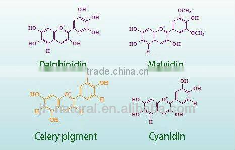 natural blueberry extract anthocyanidin