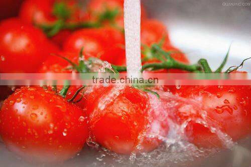 foodstuff canned tomato paste factory making for the world