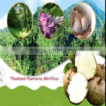 1000 pcs Breast Tight Thailand Pueraria Mirifica breast firming capsule
