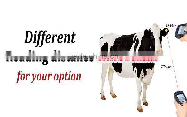 134.2KHz Cattle RFID Tags RFID Ear Tags for Cattle Tracking