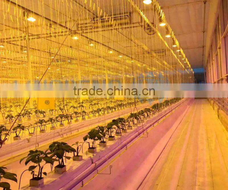 LED grow light with hydroponic system greenhouse