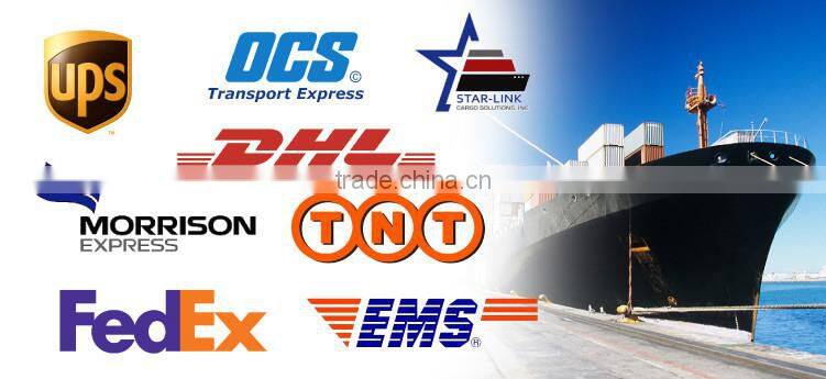 Customized Fashion 500ml Plastic Sports Bottle