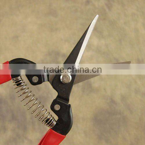 Needle Nose Pruner
