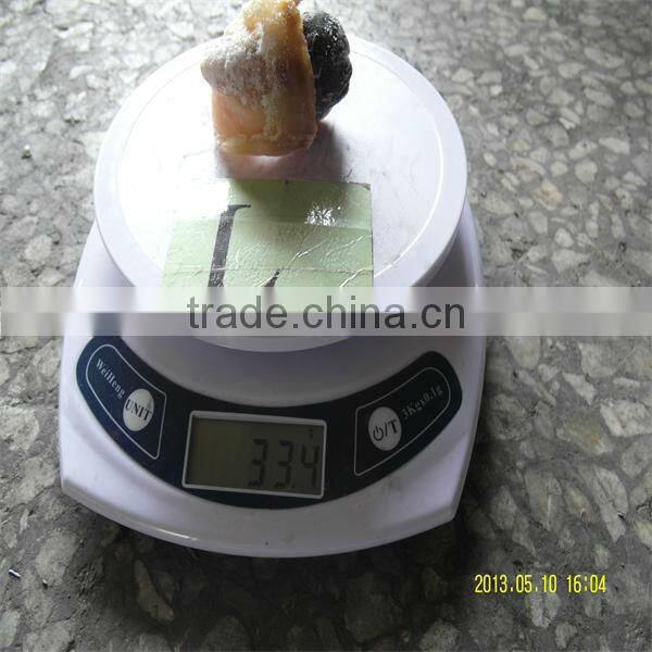 sea best frozen seafood conch