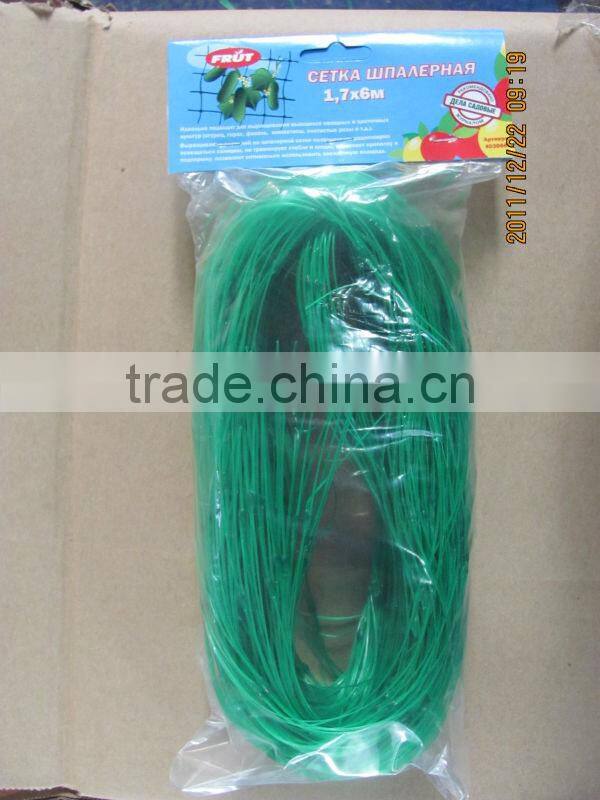 PP Plant Support Netting 6*1,7 m