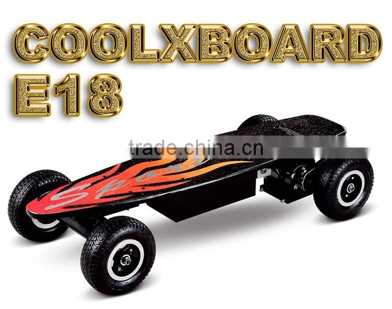 800W Electric Powered Skateboard